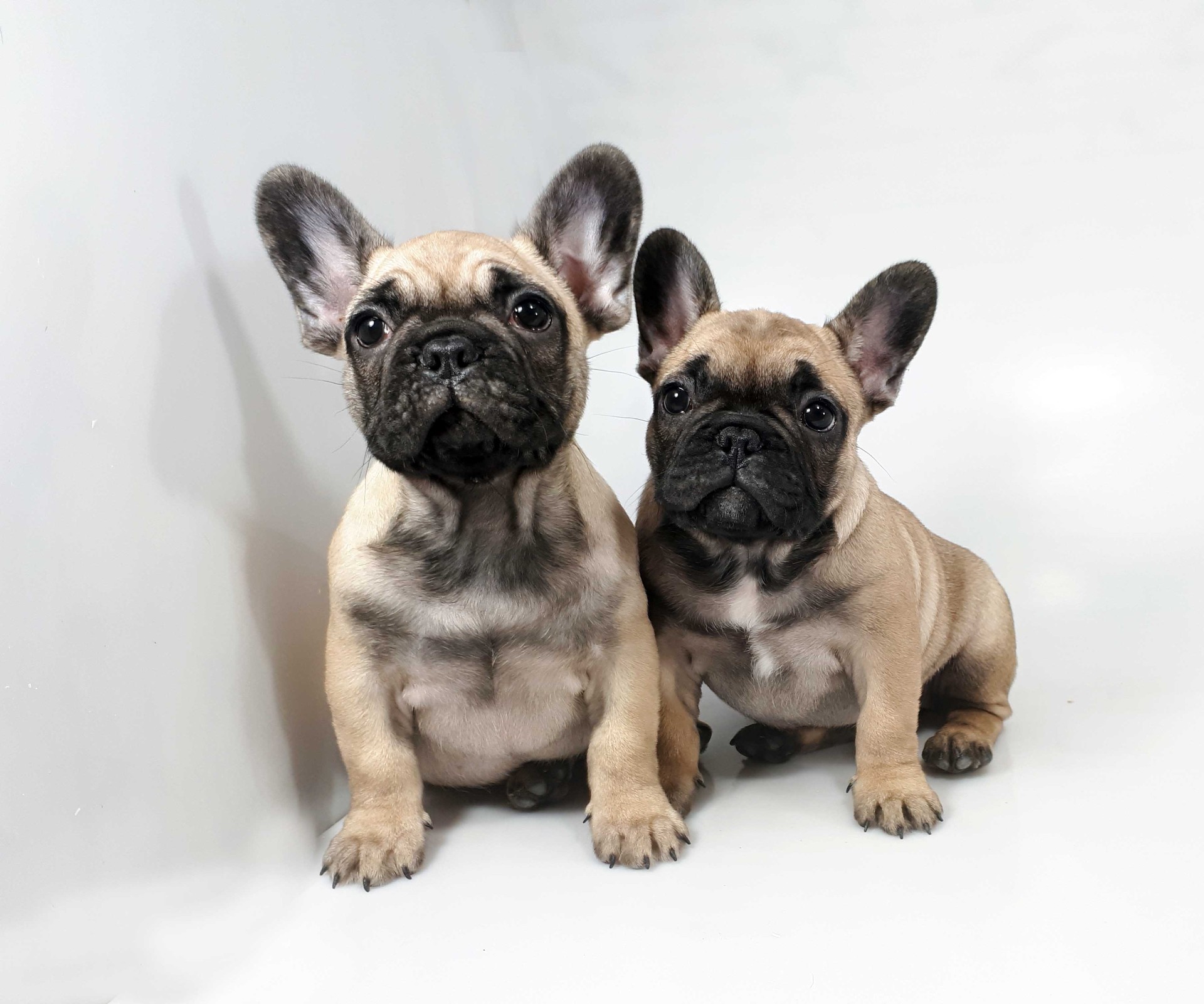 L'allevamento Follow the River